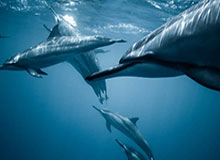 开云体育：点燃你的运动激情，体验非凡体育盛宴